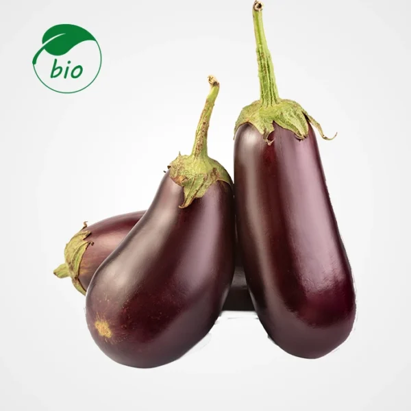 Aubergine-Bio