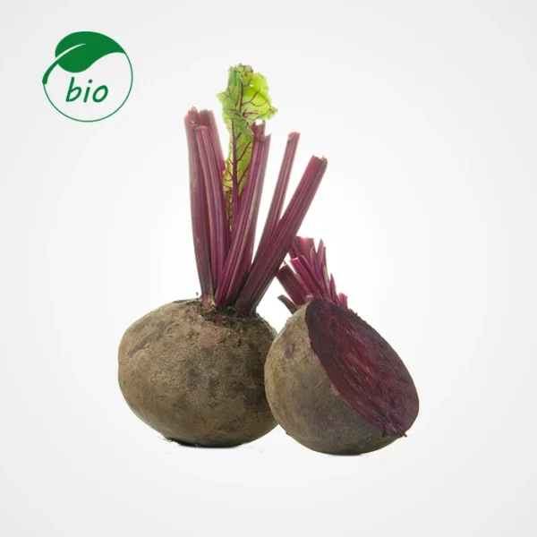 Betterave-Bio
