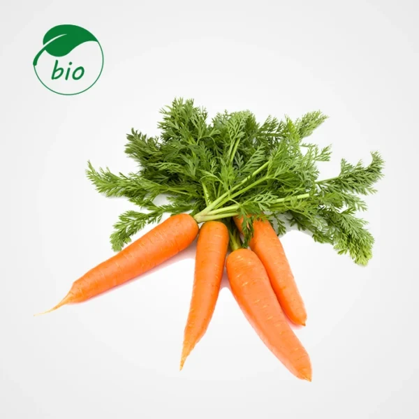 Carotte-Bio
