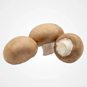 Champignon marron