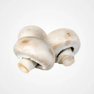 Champignon