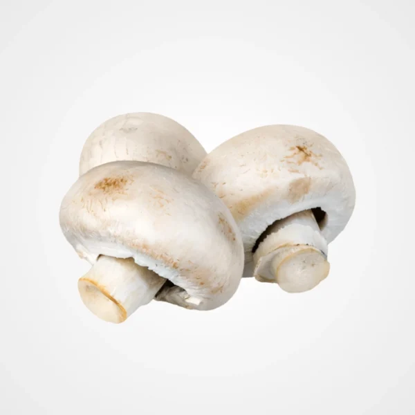 Champignon