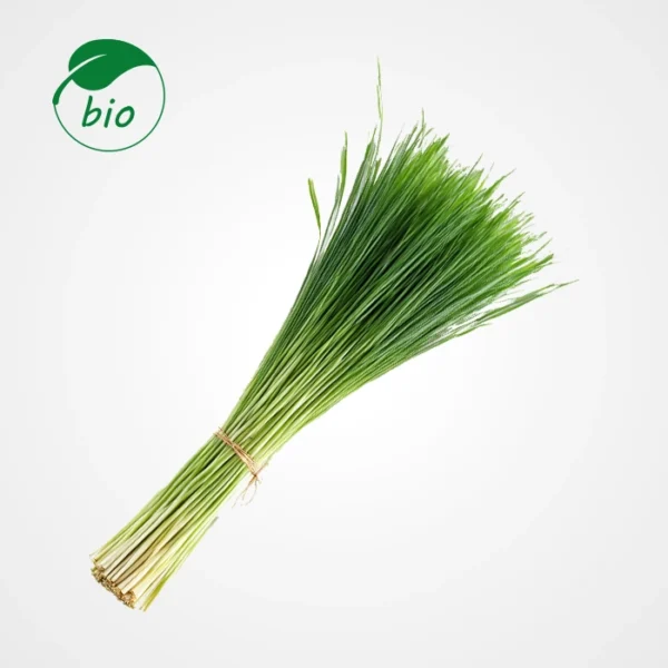 Ciboulette-Bio