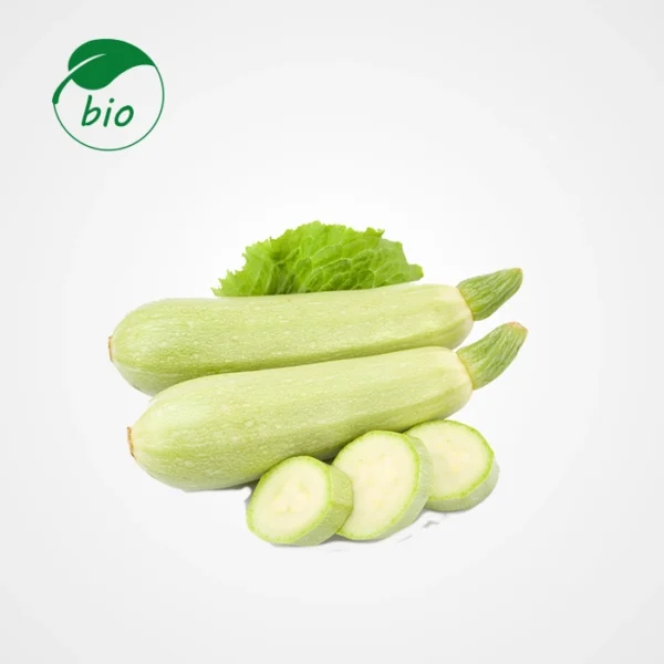 Courgette Blanche-Bio