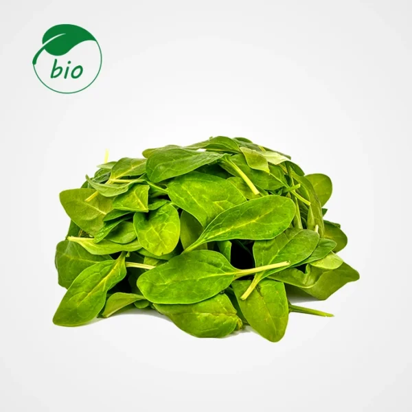 Oseille-Bio