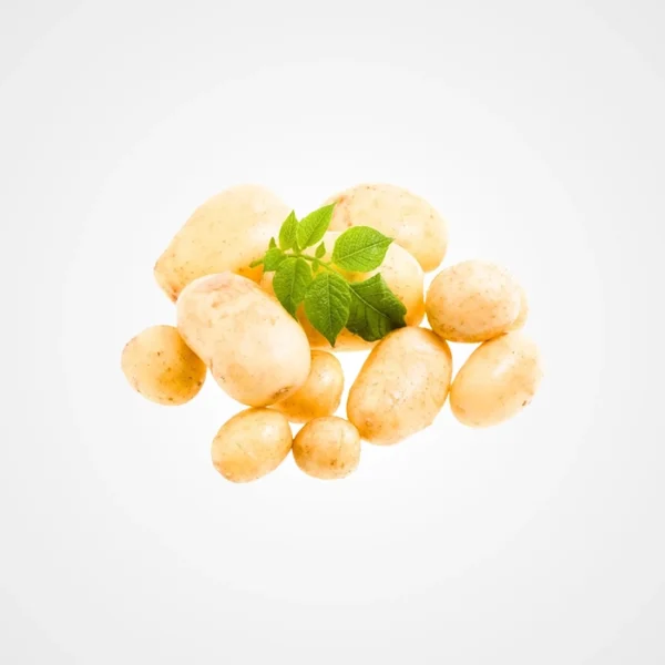 Petites pommes de terre grenaille