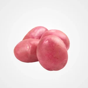 Pomme De Terre Rouge