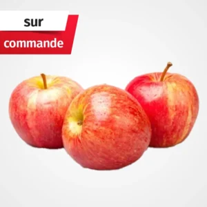 Pomme Gala - تفاح