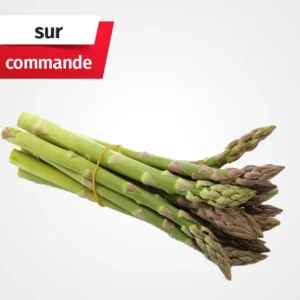 ASPERGE – السكوم