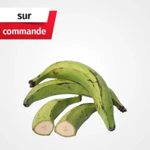 Banane Plantain
