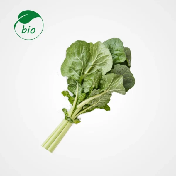 Blette-Bio