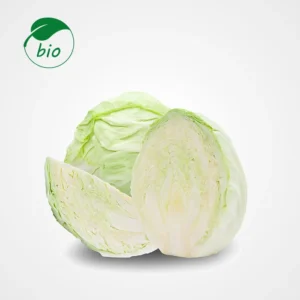 Chou vert-Bio