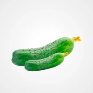 concombre épineux
