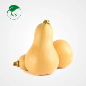 Courge butternut-Bio