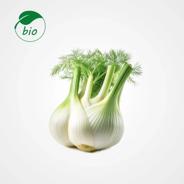 Fenouil-Bio