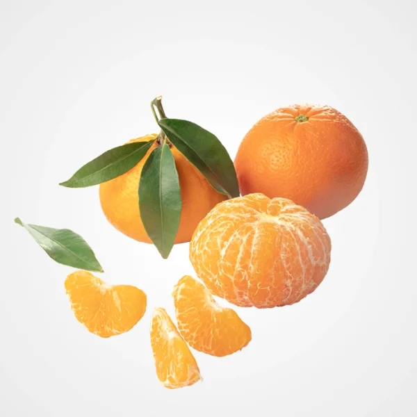 MANDARINE - المندرين