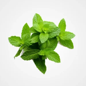 Menthe - نعناع