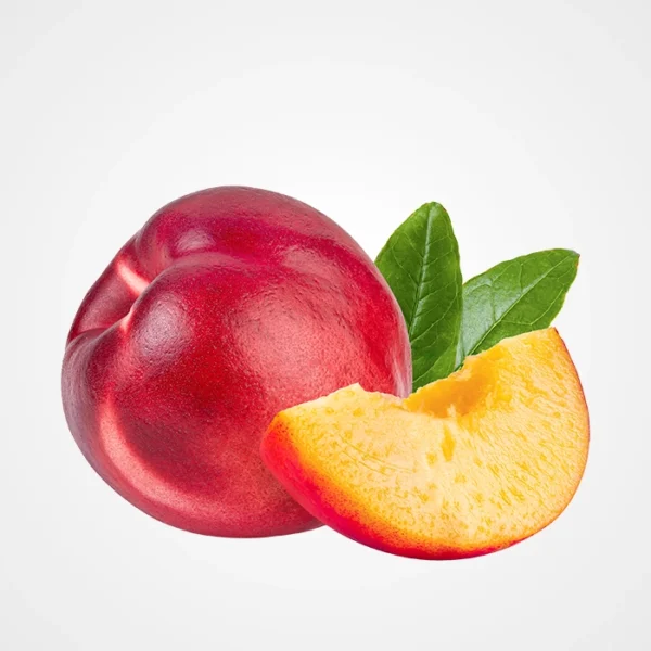 NECTARINE