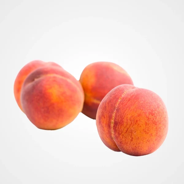Pêche