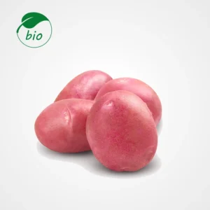 Pomme de terre rouge-Bio