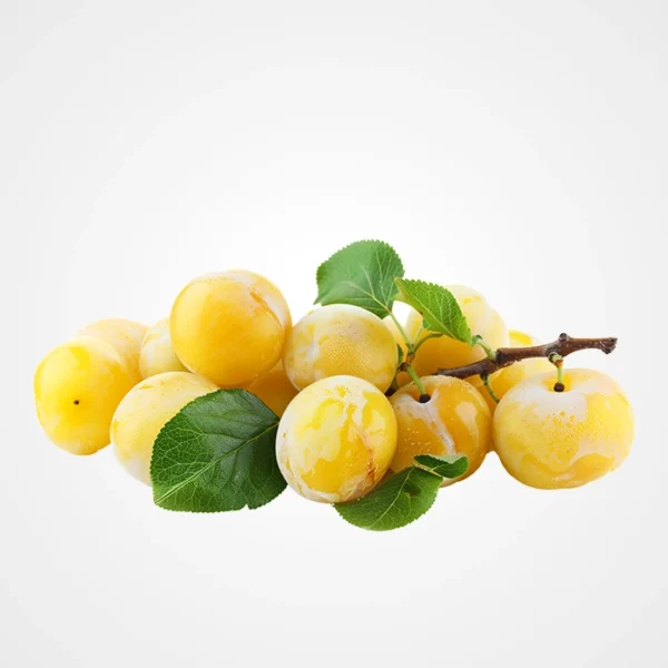 Prune jaune