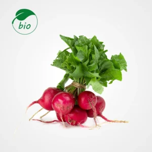 Radis rouge-Bio