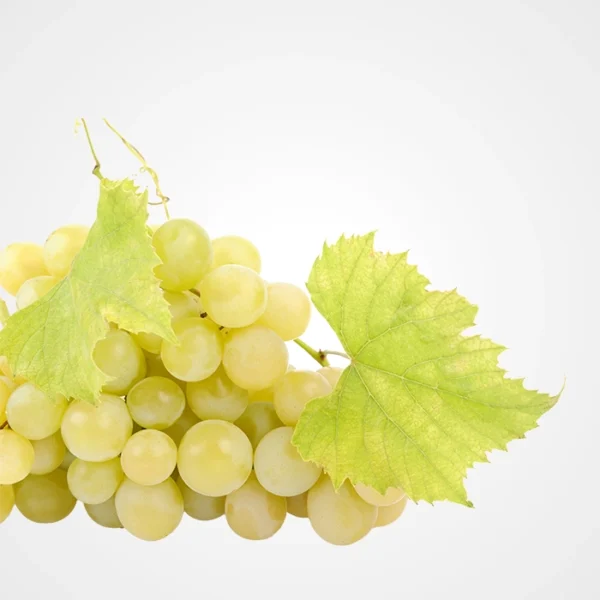 Raisin blanc
