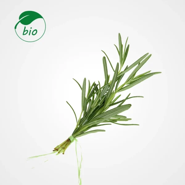 Romarin-Bio