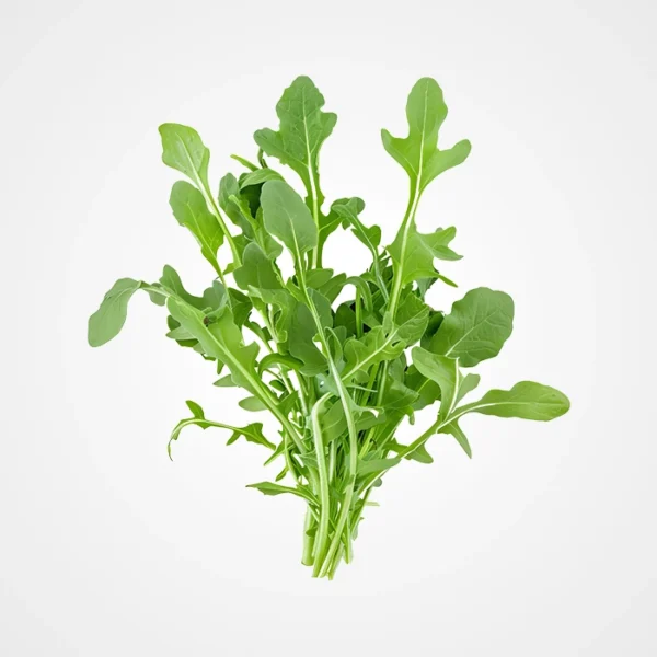 Roquette - الجرجير