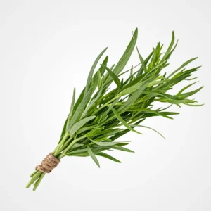 Estragon - استراجون
