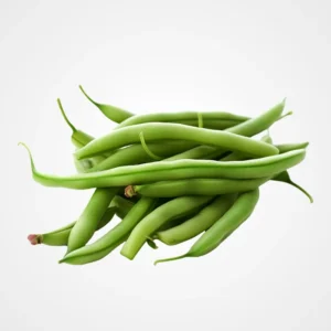 Haricot vert - لوبيا