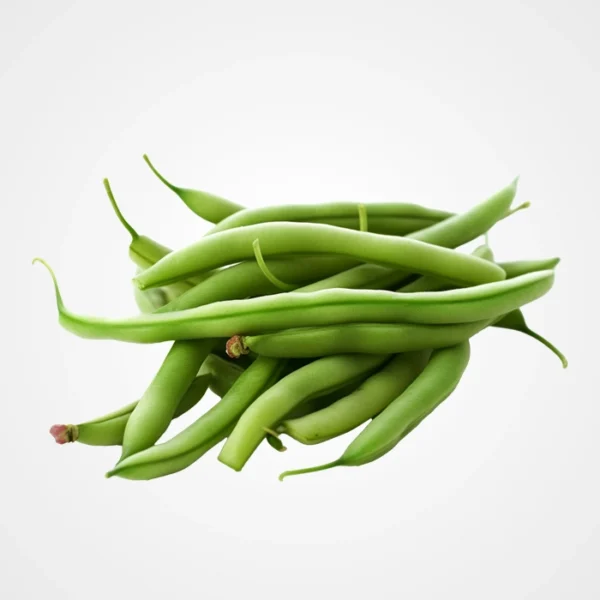 Haricot vert - لوبيا