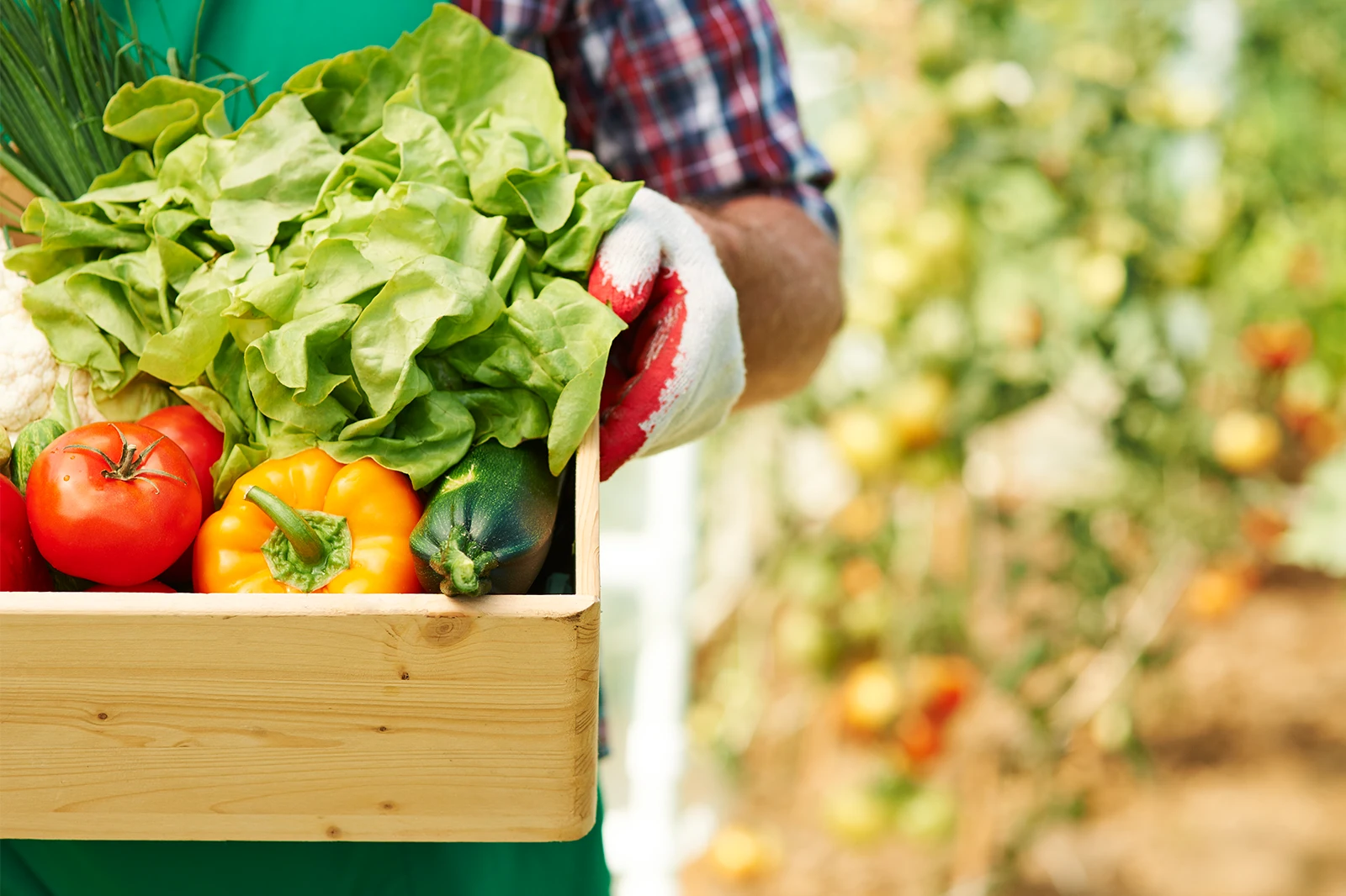 Panier de fruits et légumes livrés à domicile