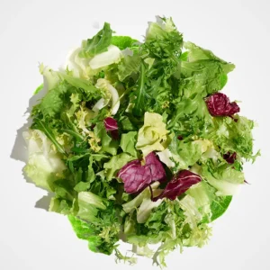 MESCLUN DE SALADE - مسكلان سلاد