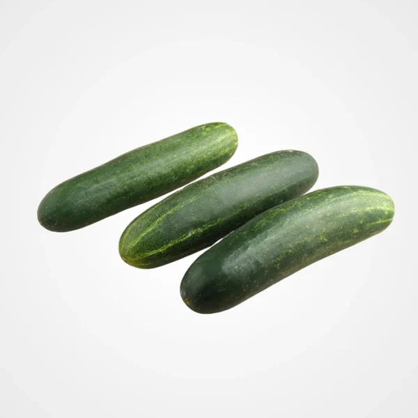 Concombre