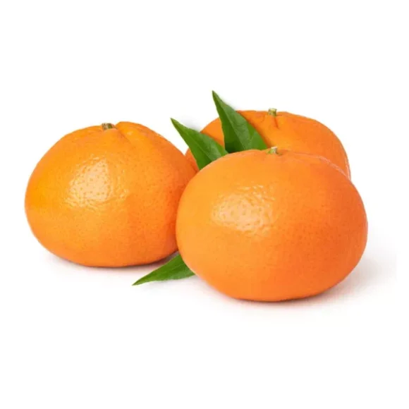 clementine 580x580